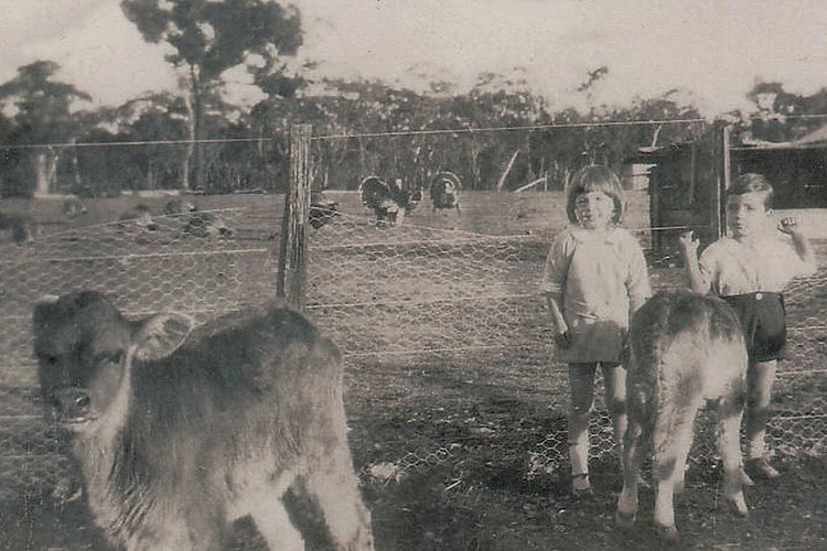 dawn and rex egerton-warburton