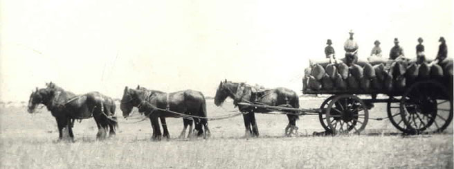 carting wheat