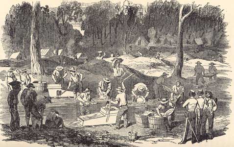 goldmining at forest creek