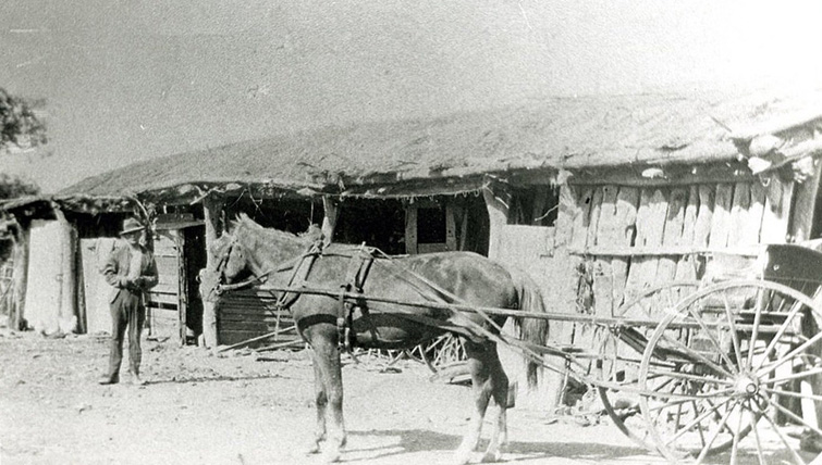 harry cockfield stable
