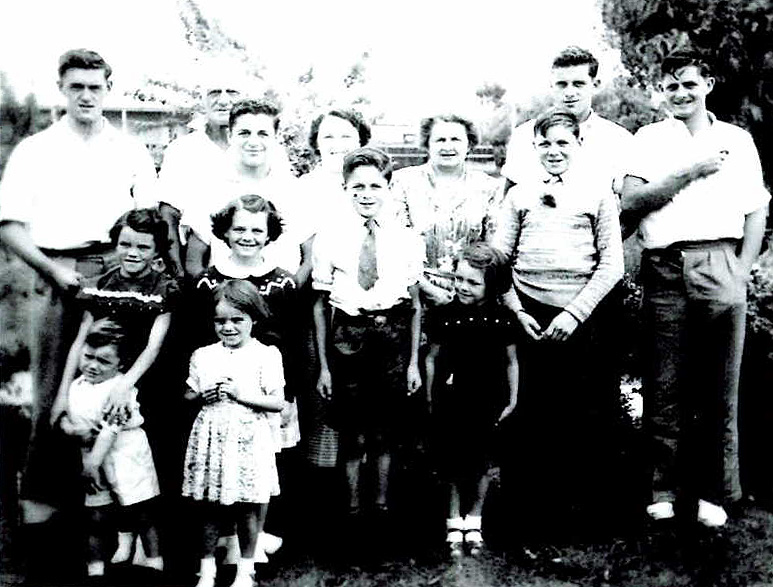 harry ryan family
