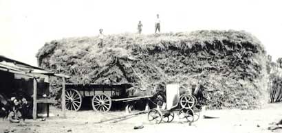 hickmott's haystack