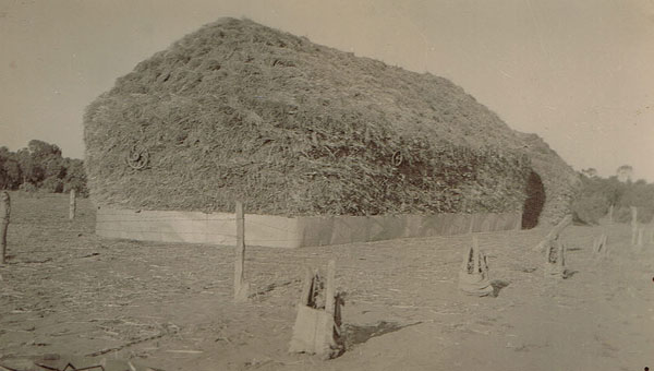 walpeup haystack