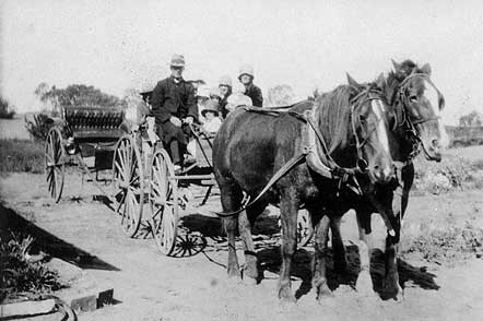 horse and buggy