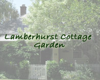 lamberhurst cottage garden