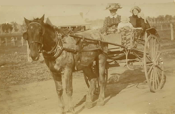 may and her son arthur