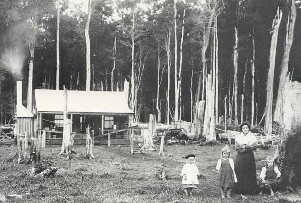 selectors hut
